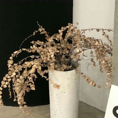 苏尼特右旗FurryQQ群